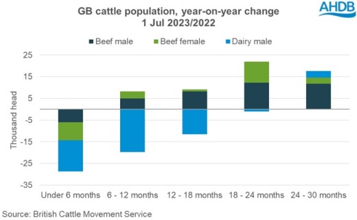 Chart showing annual change in GB cattle population up to 30 months old at 1 July 2023